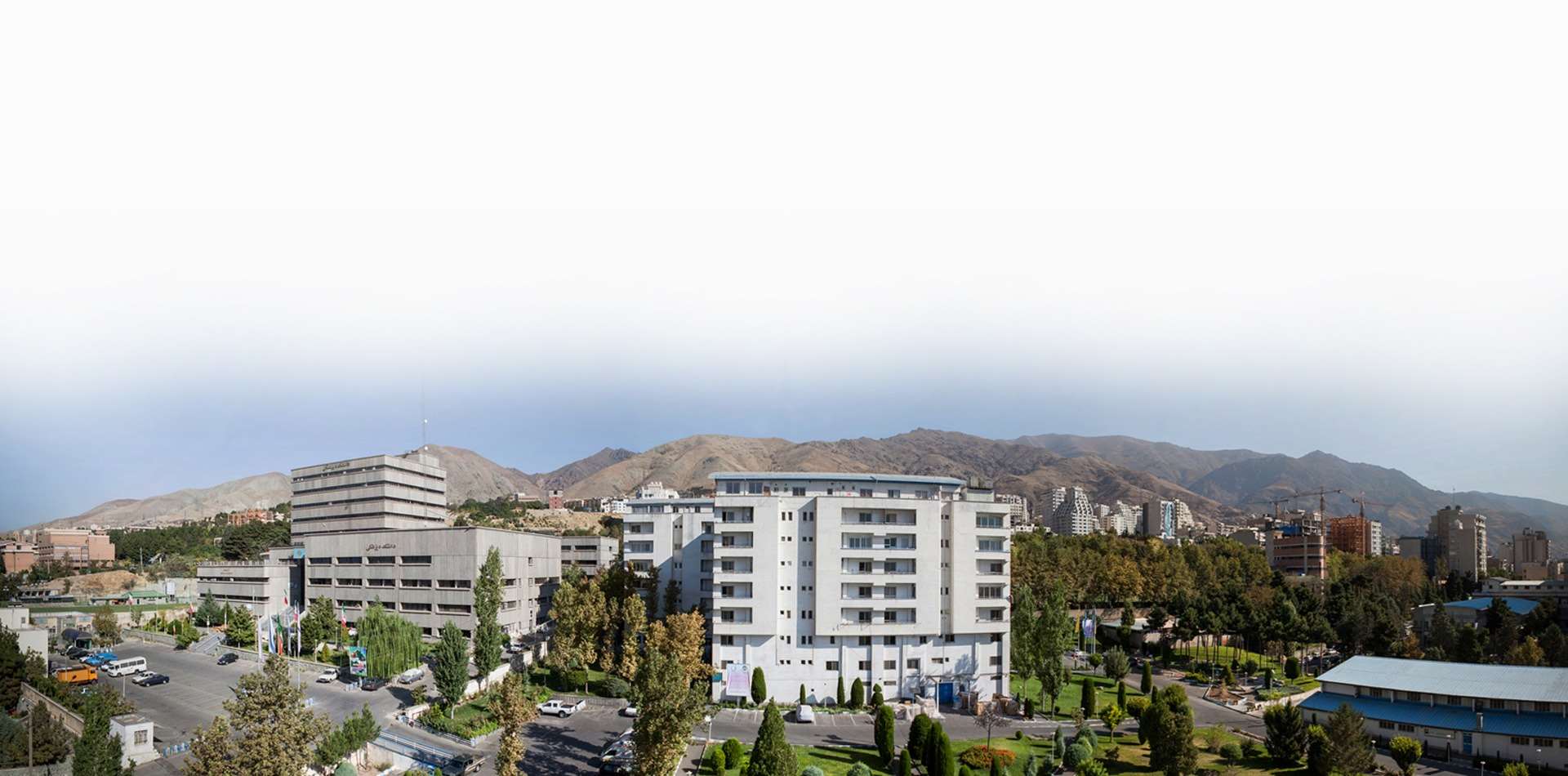 تنظیمات